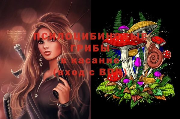 apvp Алексин