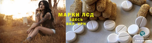 apvp Алексин