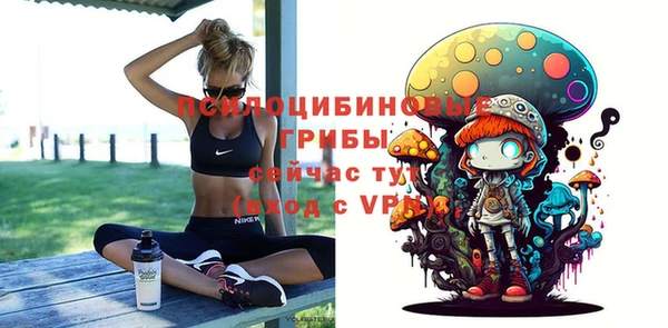 apvp Алексин