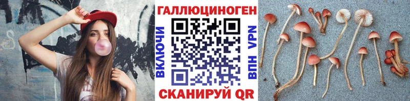 Псилоцибиновые грибы мухоморы  Олонец 